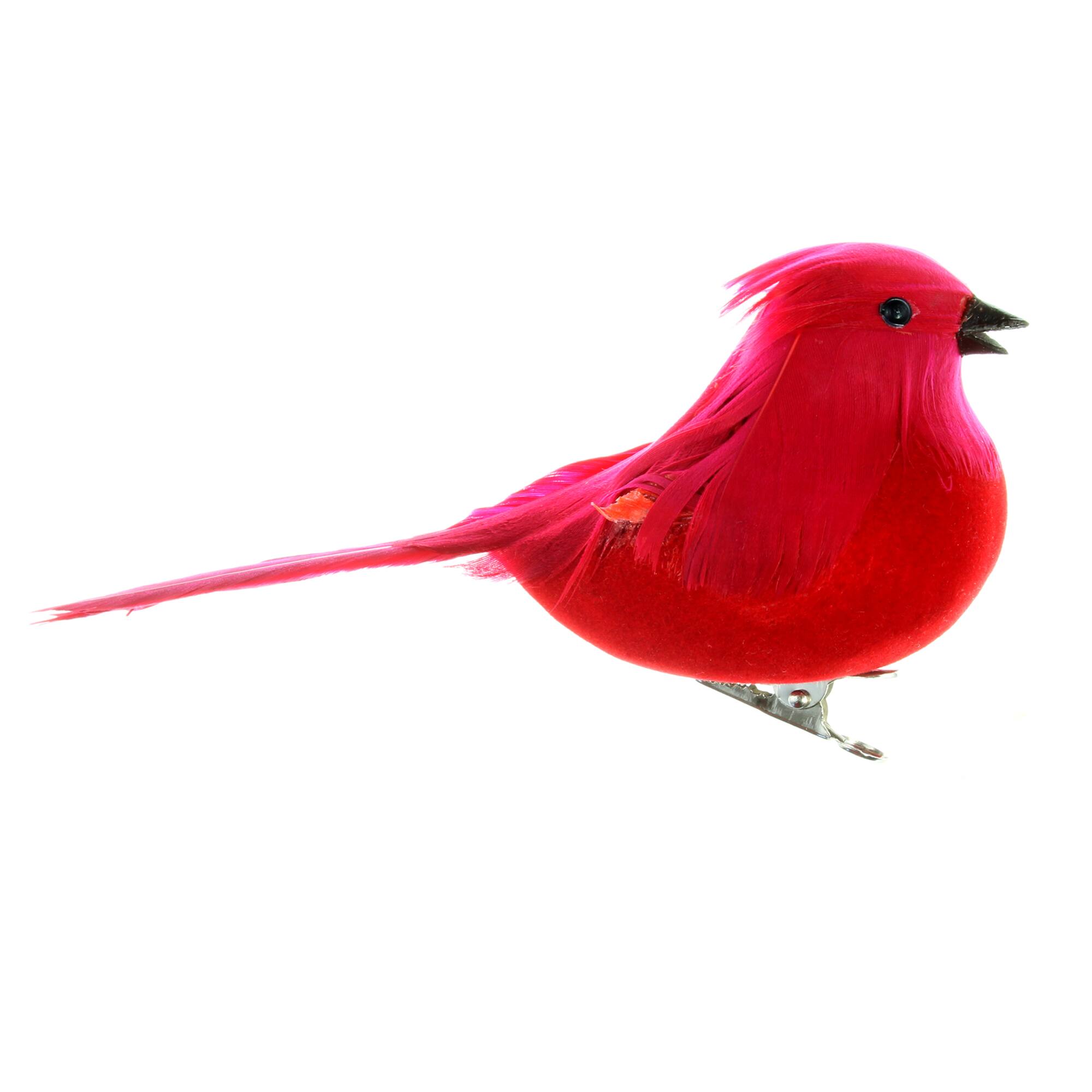 Medium Cardinal Bird by Ashland®